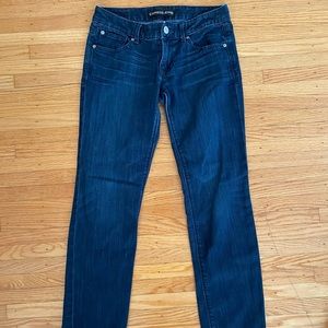 Express Dark Wash Skinny Jeans